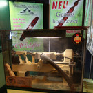 EXPA-THA-1214121027-1254.jpg