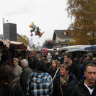 PA260044_JPG-1351416971