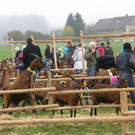 PA260040_JPG-1351416941
