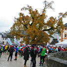 normal_27102012trailrunningat05001aktivnews_33.JPG
