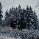 Winter in Ebenau