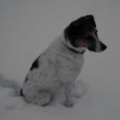 normal_28102012fmt_winterlandschaftebenau_ex_008.jpg