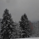 normal_28102012fmt_winterlandschaftebenau_ex_009.jpg