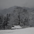 normal_28102012fmt_winterlandschaftebenau_ex_010.jpg