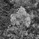normal_28102012fmt_winterlandschaftebenau_ex_011.jpg