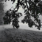 normal_28102012fmt_winterlandschaftebenau_ex_014.jpg