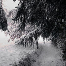 normal_28102012fmt_winterlandschaftebenau_ex_015.jpg