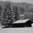 normal_28102012fmt_winterlandschaftebenau_ex_017.jpg