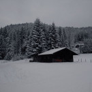 normal_28102012fmt_winterlandschaftebenau_ex_019.jpg