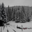 normal_28102012fmt_winterlandschaftebenau_ex_021.jpg
