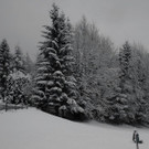 normal_28102012fmt_winterlandschaftebenau_ex_026.jpg