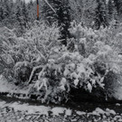 normal_28102012fmt_winterlandschaftebenau_ex_032.jpg