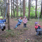IMG_4783_JPG-1351425903