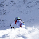 IBD0486-20121028.jpg