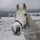 Winter121028002.jpg