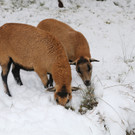 Winter121028007.jpg