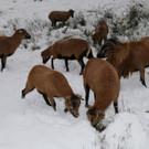 Winter121028008.jpg