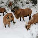 Winter121028010.jpg