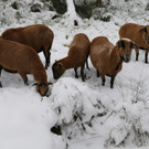 Winter121028012.jpg