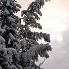 normal_28102012_fmt_WintereinbruchinGroedig_ex_013.JPG
