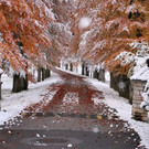 normal_28102012_fmt_WintereinbruchinGroedig_ex_026.JPG