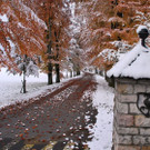 normal_28102012_fmt_WintereinbruchinGroedig_ex_032.JPG