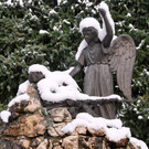 normal_28102012_fmt_WintereinbruchinGroedig_ex_067.JPG
