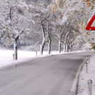 normal_28102012_fmt_WintereinbruchinGroedig_ex_079.JPG