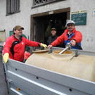 DSCN6949_JPG-1351434035