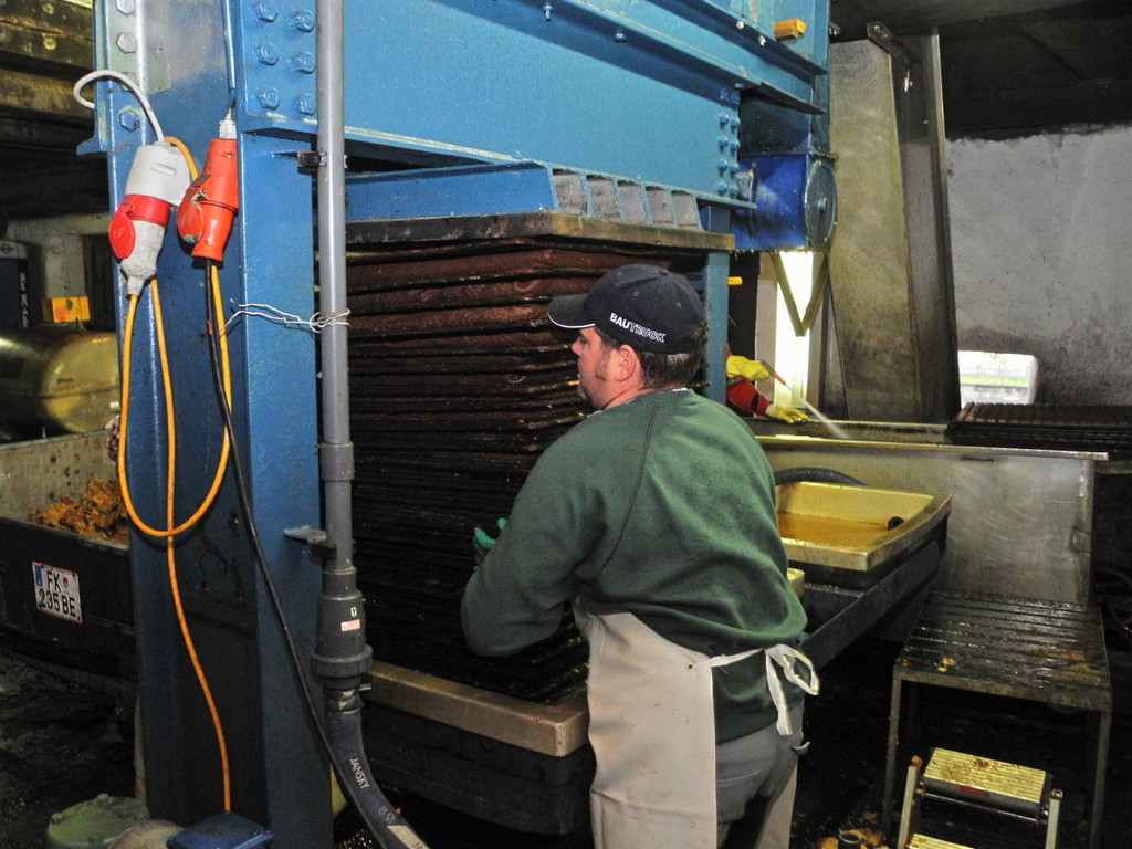 DSCN6993_JPG-1351435082