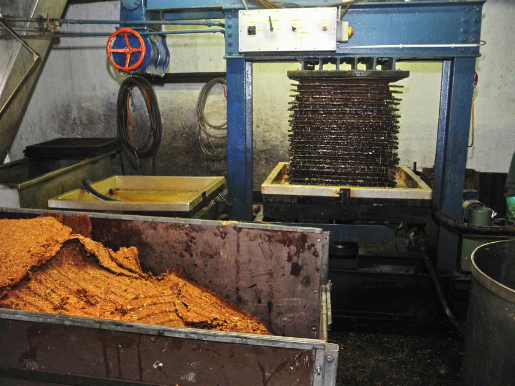 DSCN6995_JPG-1351435162