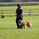 DSC04353_JPG-1351436819