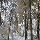 normal_28102012ersterschneesbgat05009aktivnews_24.jpg
