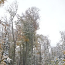 normal_28102012ersterschneesbgat05009aktivnews_27.jpg