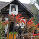 IMG_6749_JPG-1351443216