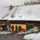Früher Winterzauber