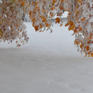 wi2_JPG-1351447283