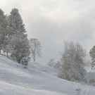 wi4_JPG-1351447305
