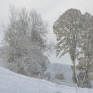 wi7_JPG-1351447328