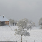 wi5_JPG-1351449419