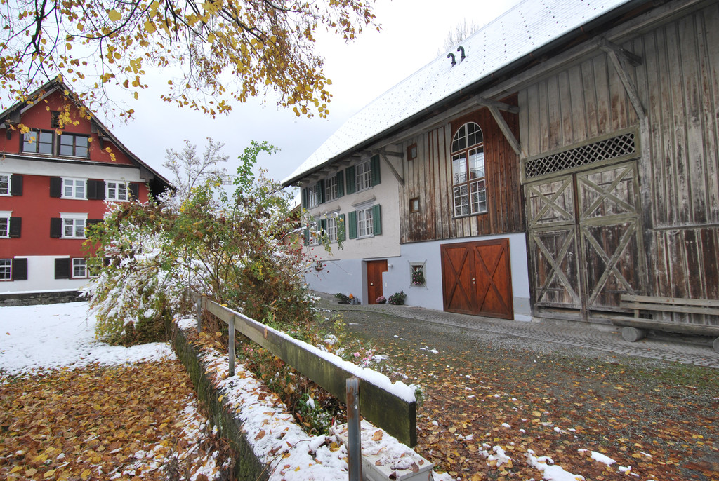 DSC_20081-1.jpg