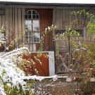 DSC_20077-1.jpg