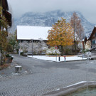 DSC_20088-1.jpg