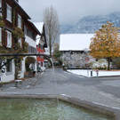 DSC_20087-1.jpg