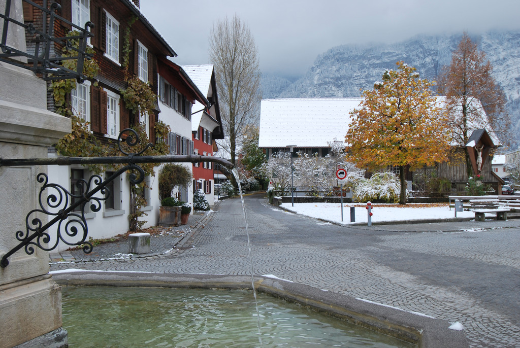 DSC_20087-1.jpg