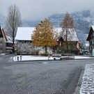 DSC_20091-1.jpg