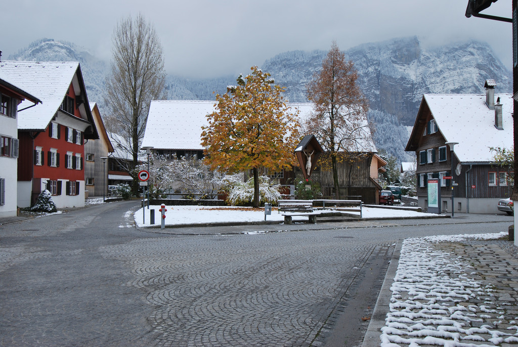DSC_20091-1.jpg
