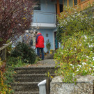 dst-223123.JPG