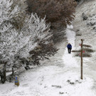 IBD0517-20121028.jpg