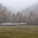 IBD0562-20121027.jpg
